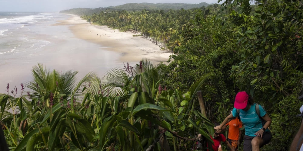 A group of people hikes down a lush, green coastal trail that overlooks a long stretch of sandy beach.