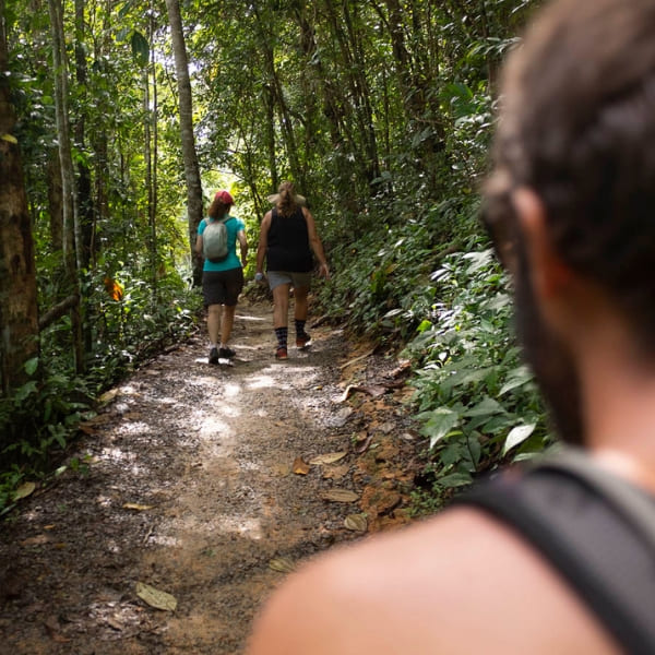 Two hikers walk along a shaded dirt path surrounded by the tall trees and lush foliage of the Atlantic Forest.