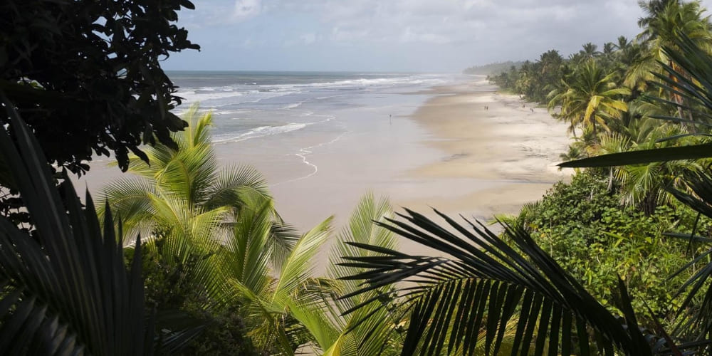 A view of a tranquil beach with white sand and ocean waves, framed by lush tropical vegetation.