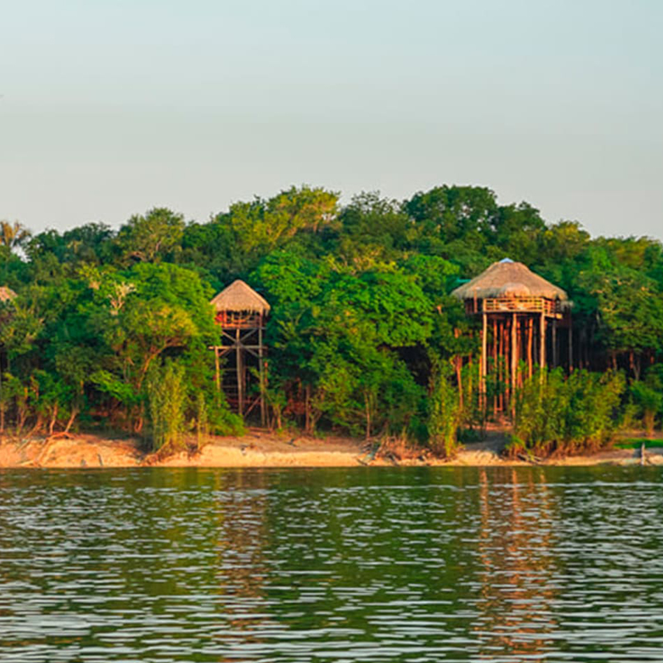 Amazon Jungle Lodge