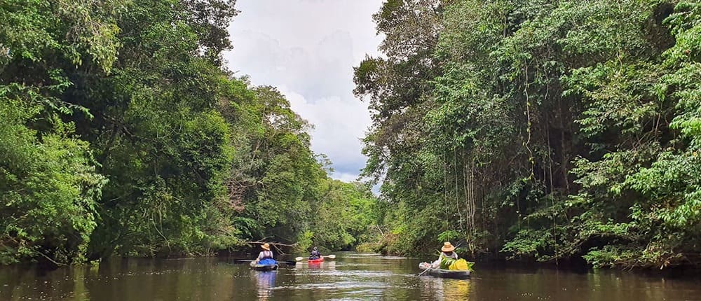 Kajaktochten op rivieren in het Amazonegebied