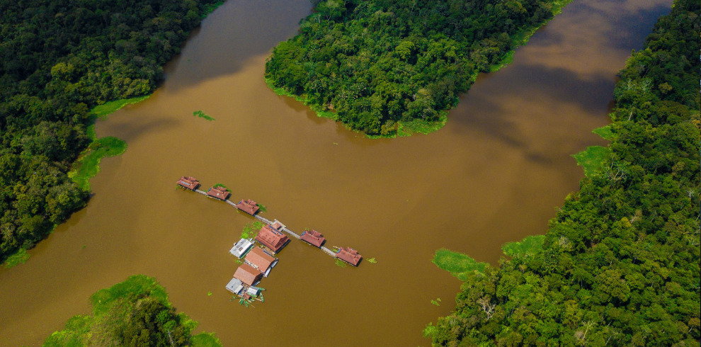 Amazon Rainforest Ecolodge Trip
