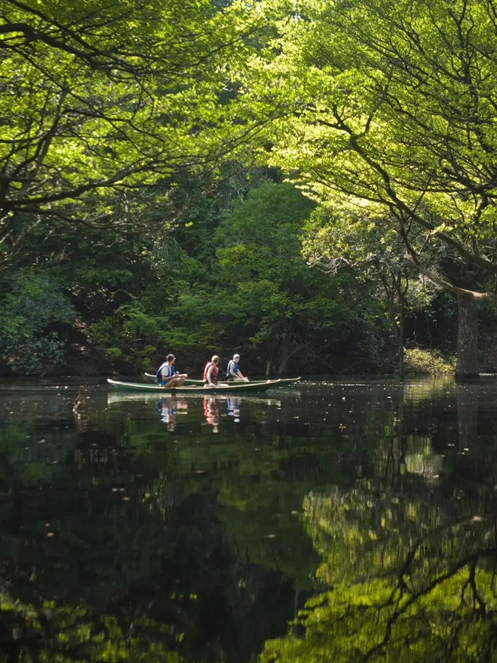Cabocla Canoeing Amazon Brazil