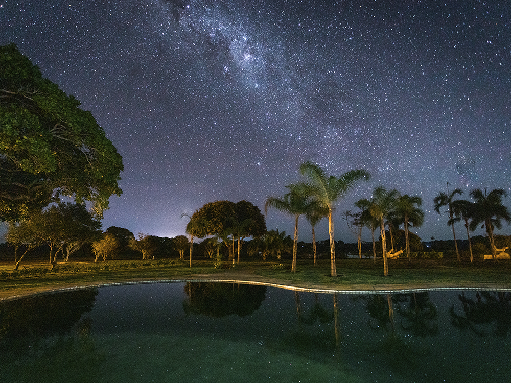 Night in Caiman Pantanal Brazil