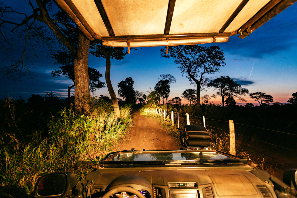 Excursion safari de nuit - Pantanal