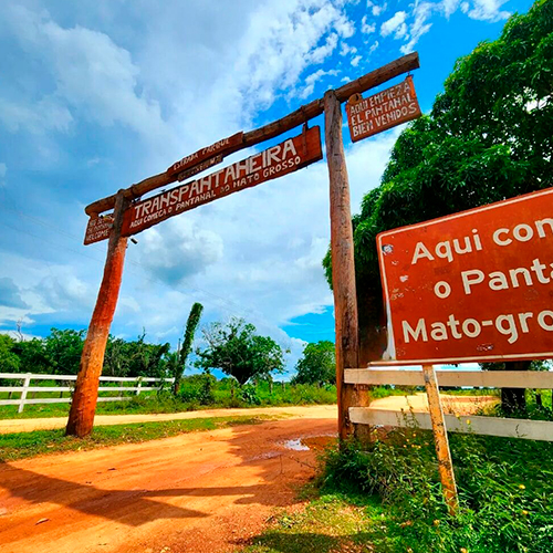 Safari onça-pintada Pantanal Norte