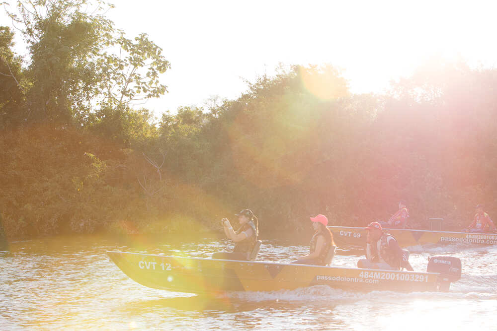 boat trip in the Pantanal 