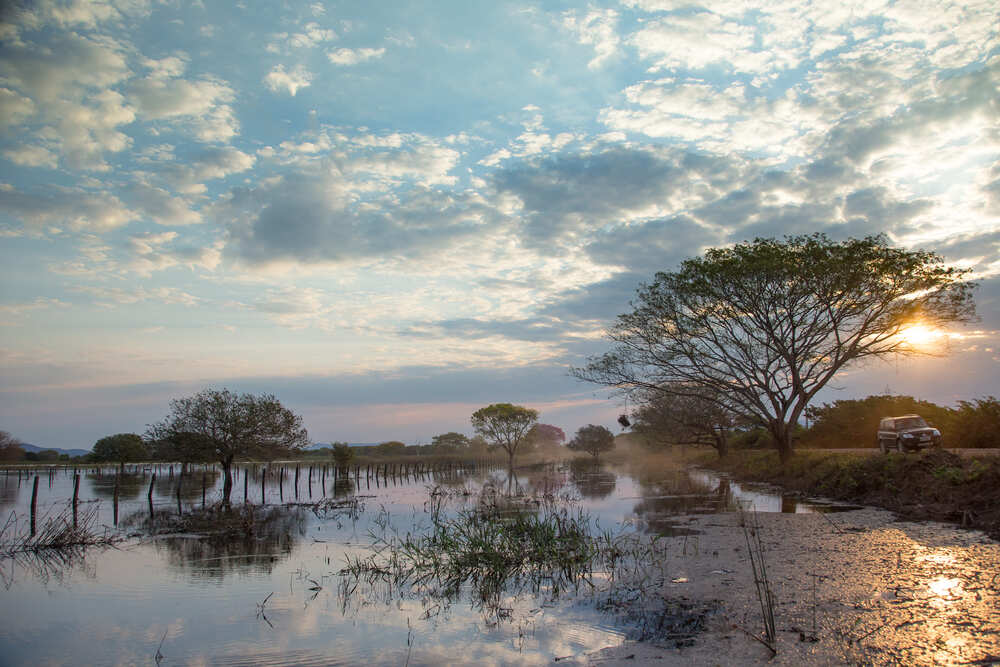 Marecage du sud du Pantanal