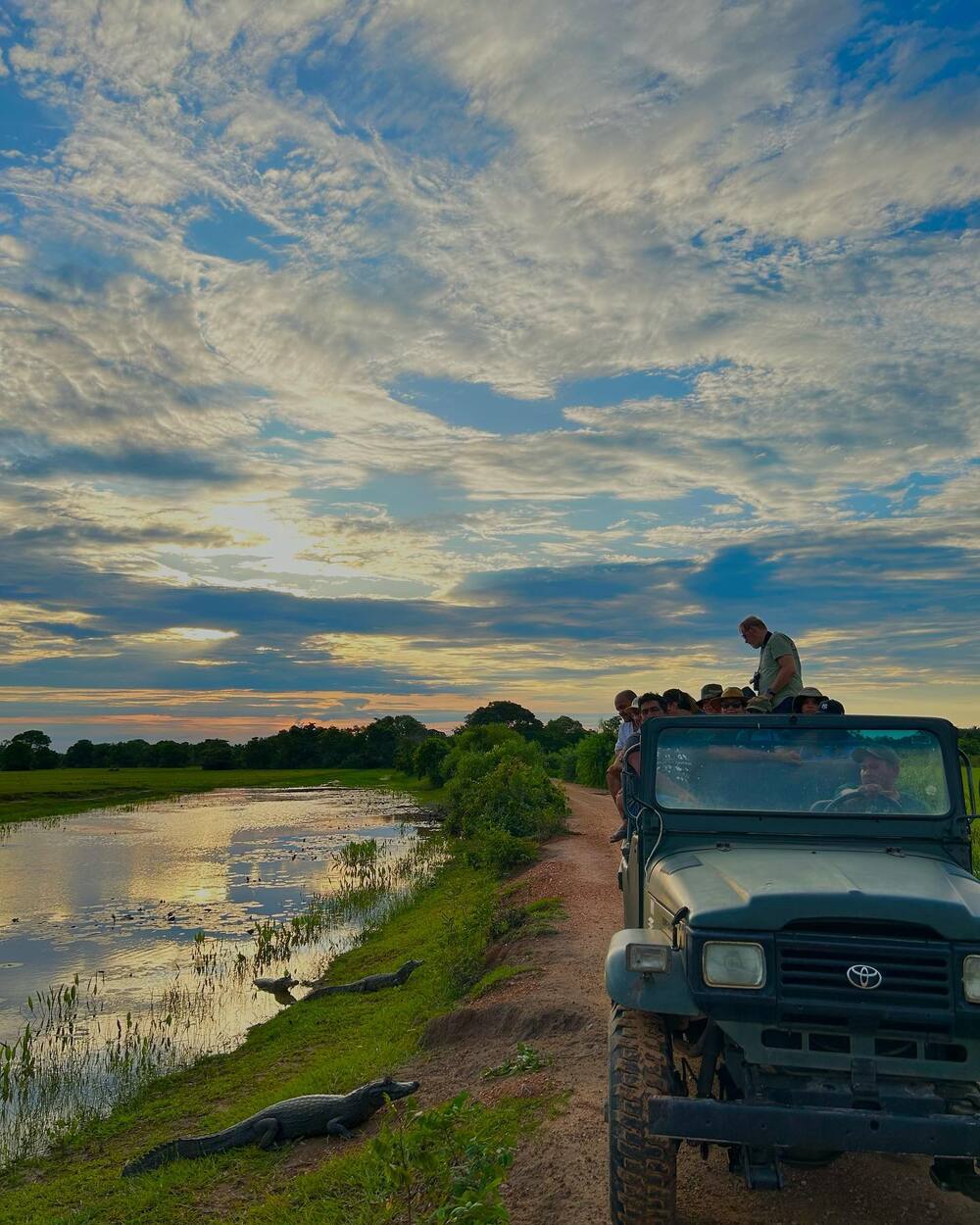 Pantanal Wildlife Trip from Campo Grande
