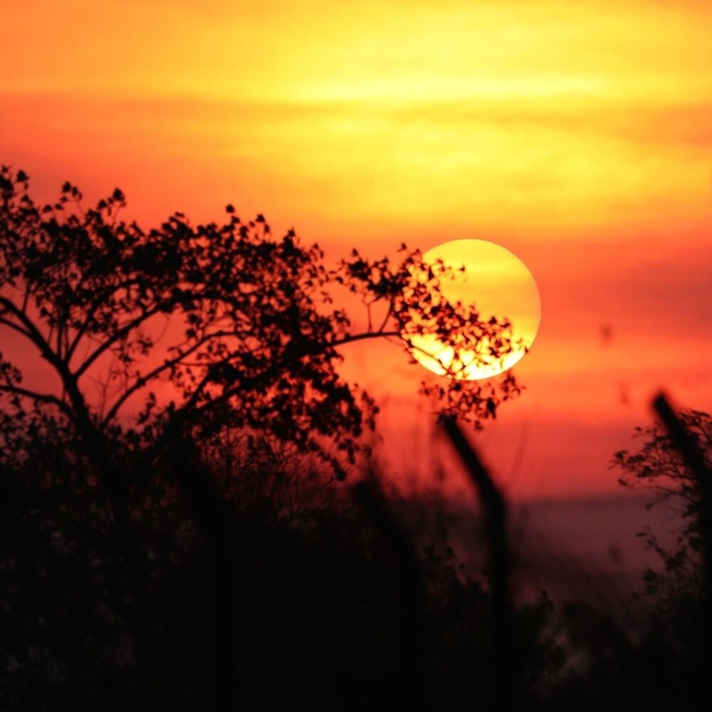 Sonnenuntergang im Pantanal Brasilien