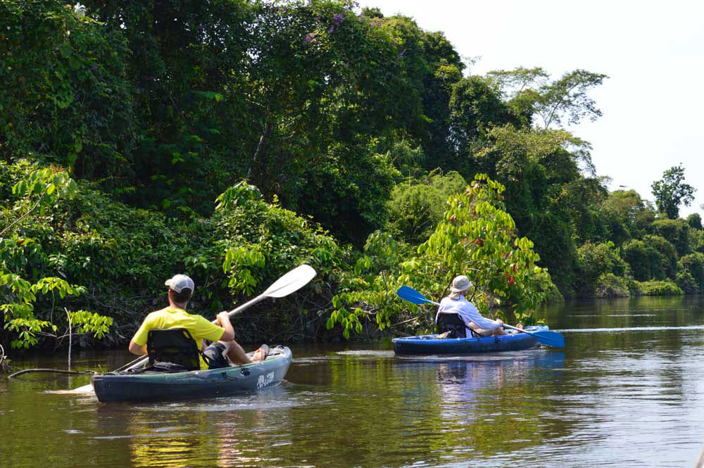 Visite en kayak de la jungle amazonienne au Brésil