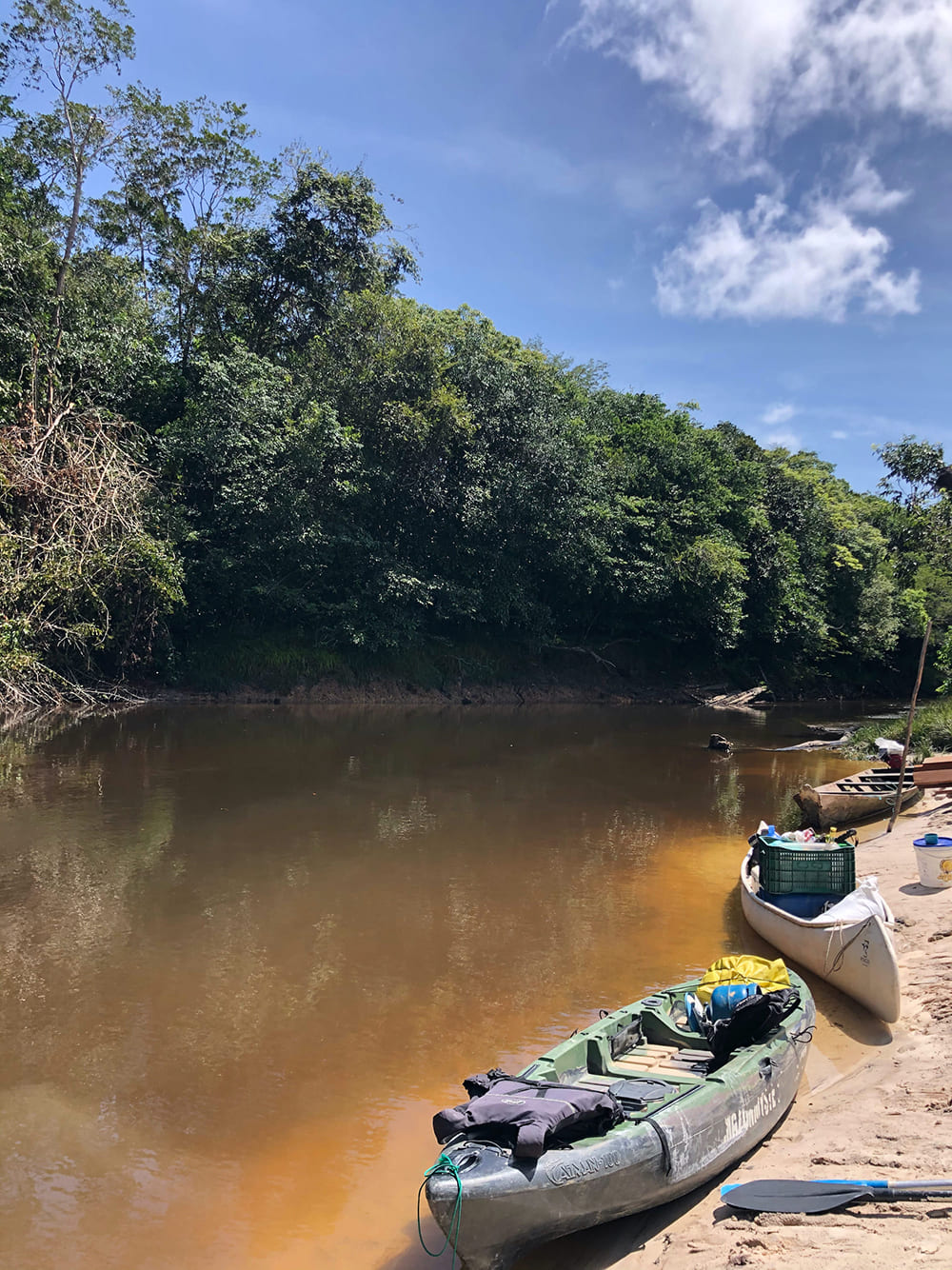 Visite en kayak de la foret amazonienne au Brésil