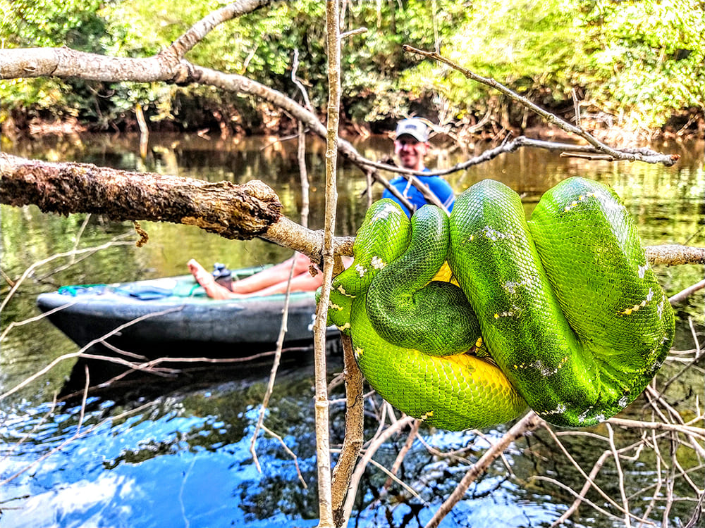 3-day Amazon Jungle Adventure in Brazil