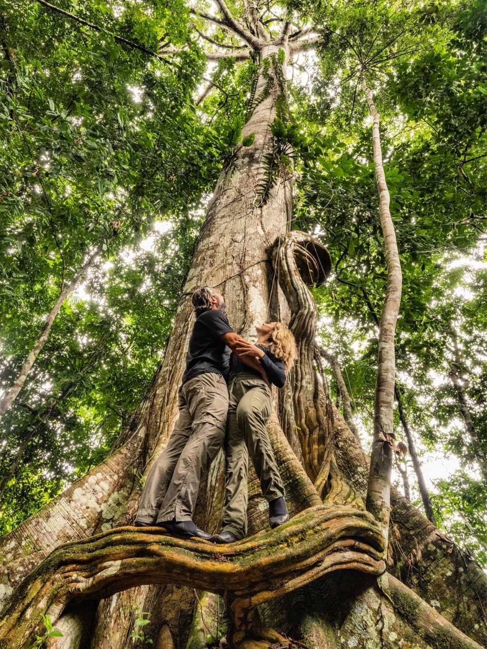 Dschungel-Erkundung - Amazonas Kreuzfahrt