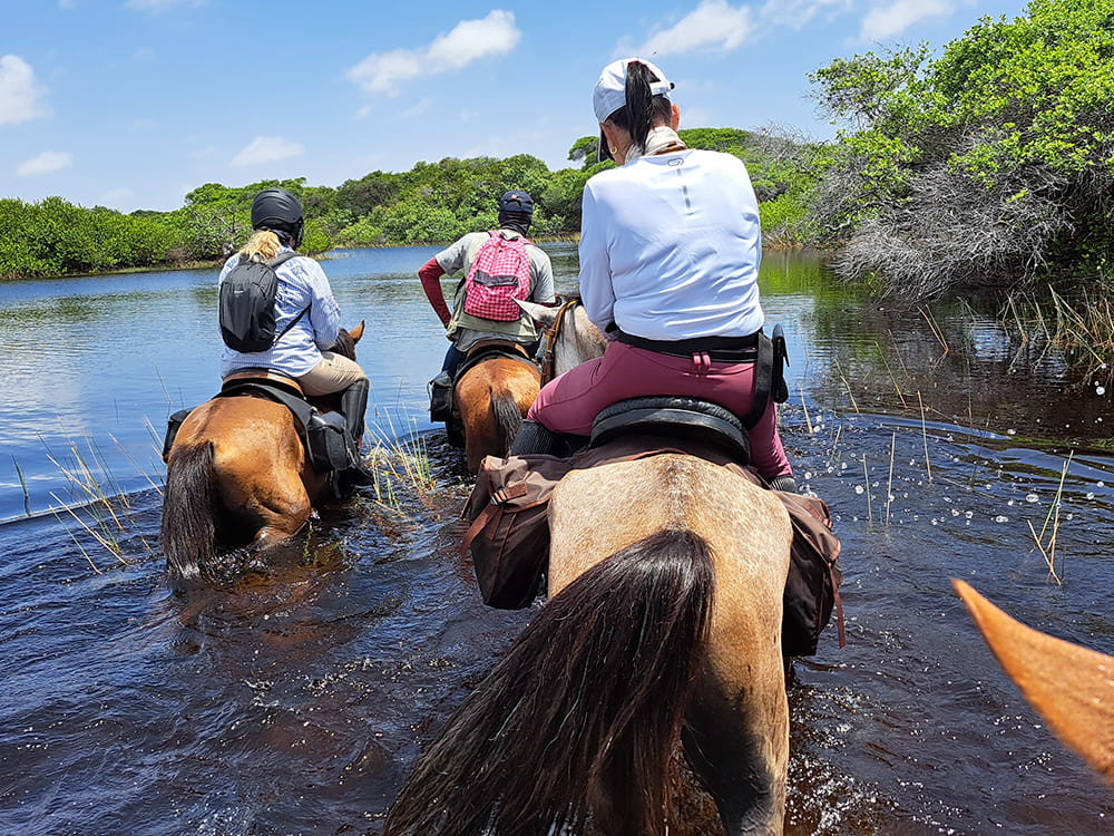 Randonnée à cheval dans la région de Lençóis Maranhenses