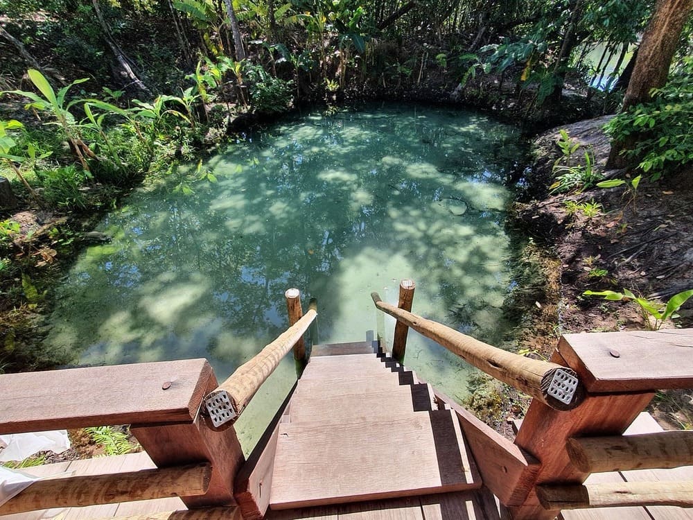 Piscine naturelle relaxante - Parc d'État de Jalapão - 