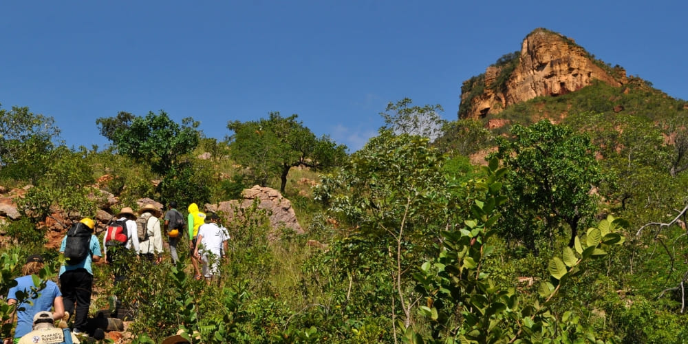 Group of hikers walking up a sunny, vegetation-covered trail towards a sandstone peak.