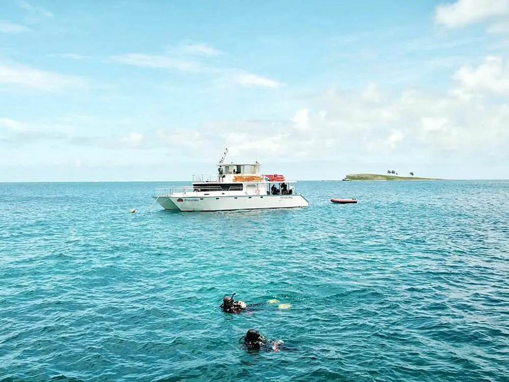 Plongée en mer Abrolhos Brésil