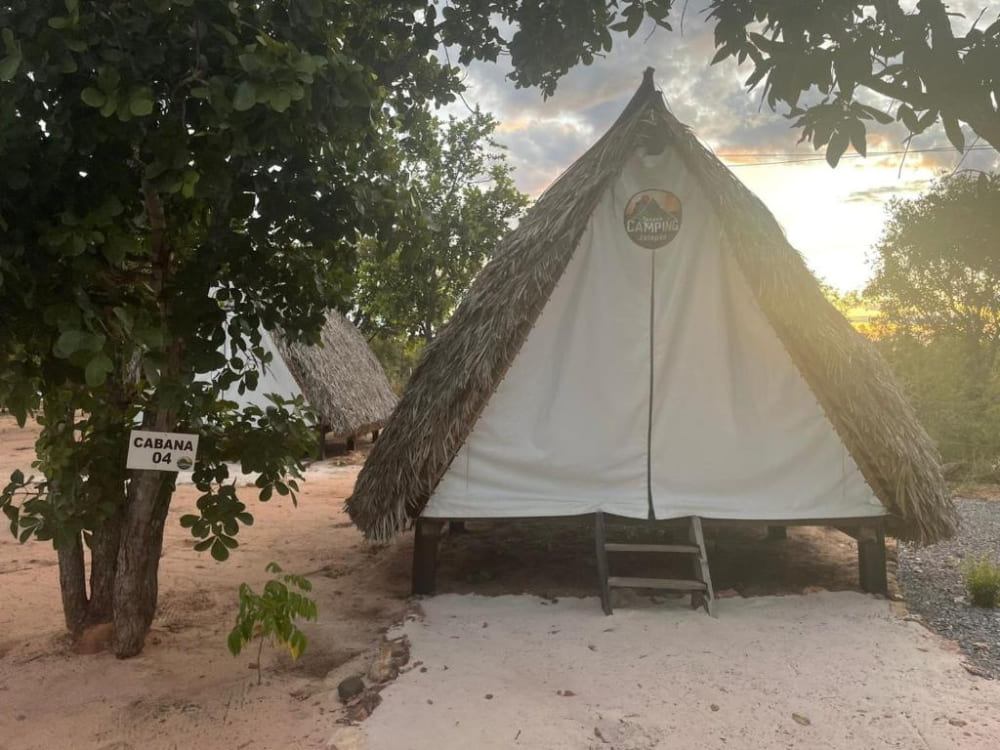 Triangular camping tent with a protective thatched roof pitched on a sandy beach next to trees.