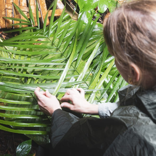 Hands skillfully weaving long green palm leaves to create traditional Amazonian crafts.