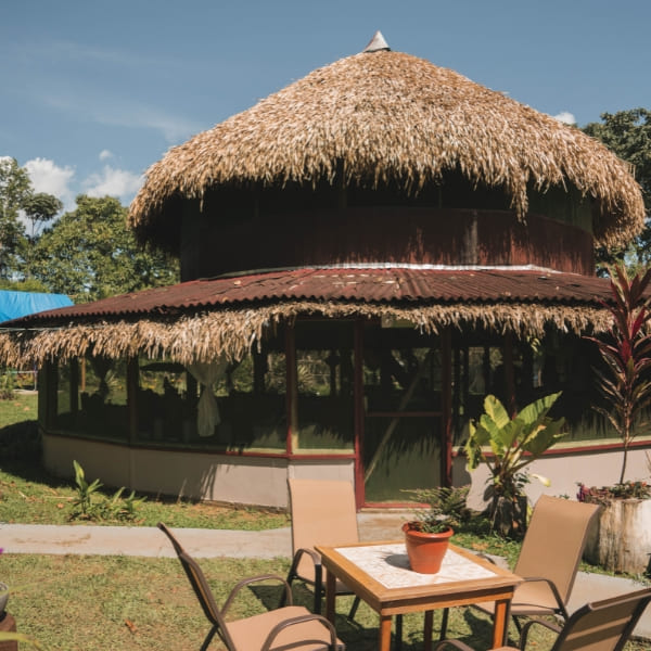 Exterior of a masonry bungalow featuring a traditional thatched roof surrounded by the lodge's lawn.