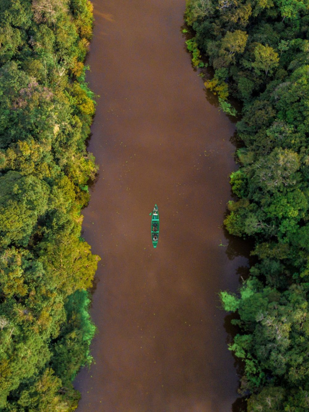 Zonsondergang aan de oevers van een Amazonerivier