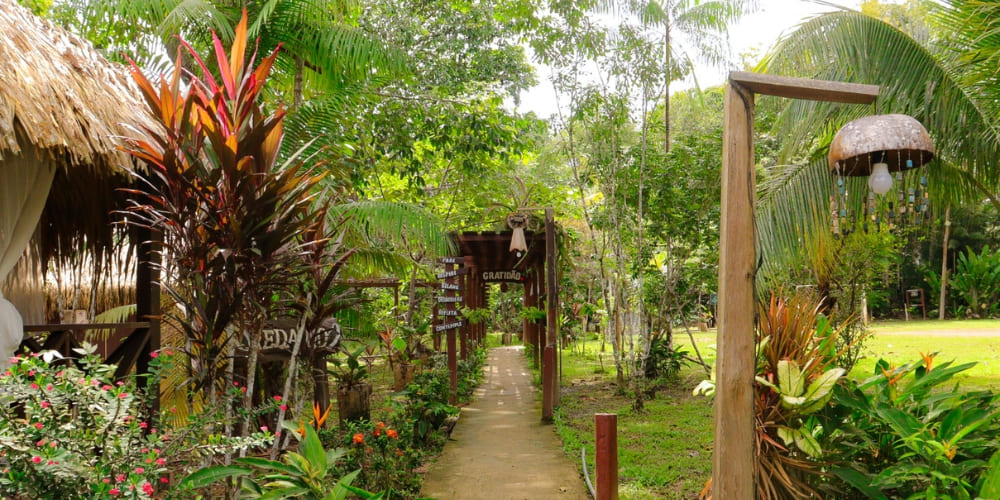 Dirt path surrounded by lush tropical plants leading to the bungalows of the Amazon Turtle Lodge.