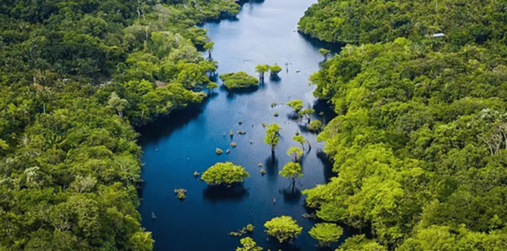 Amazon Rainforest Brazil Tour