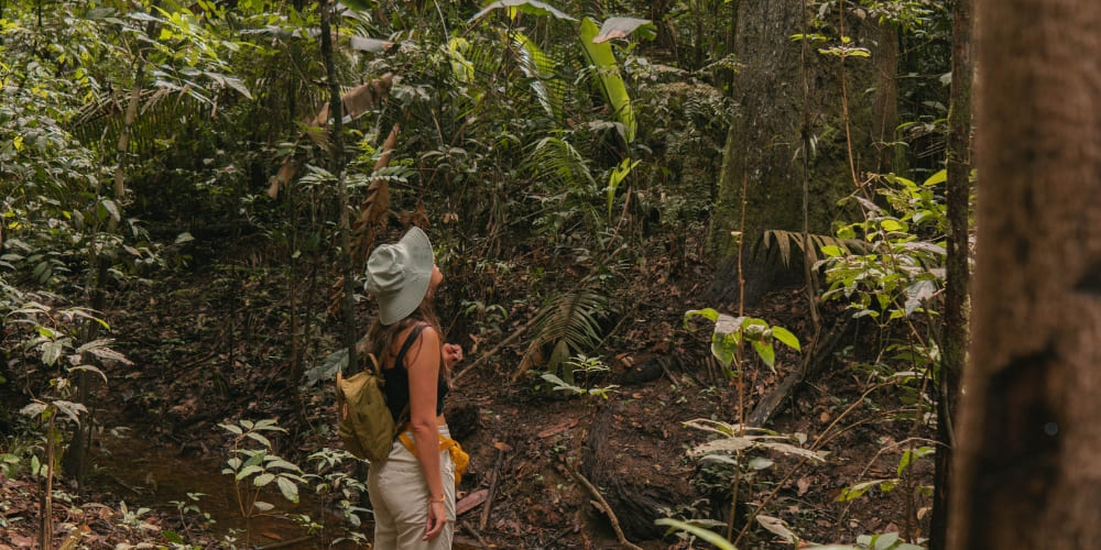 Woman wearing a sun hat and backpack standing near a small stream, looking up at the tall trees in the dense Amazon rainforest.