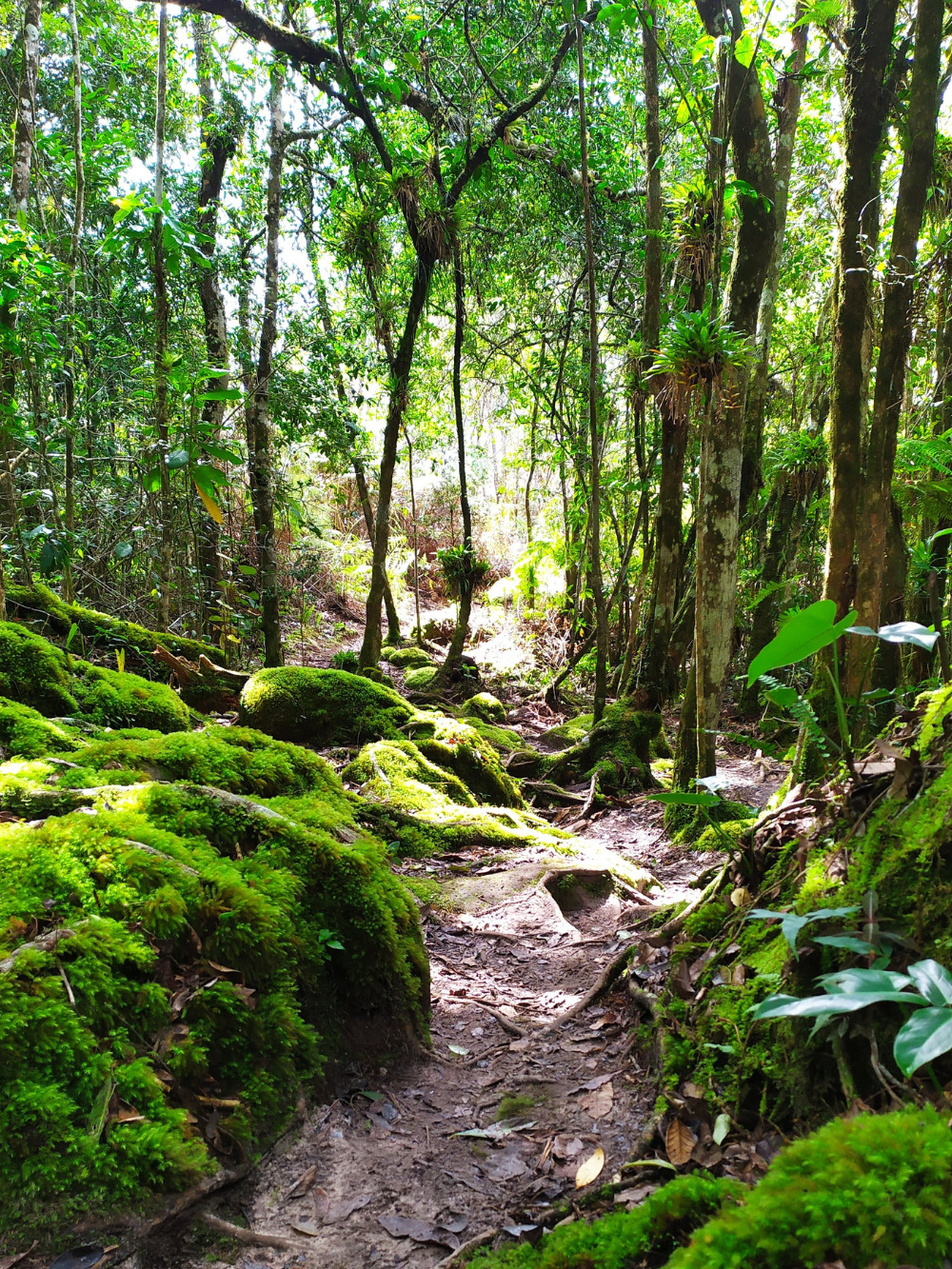 Biodiversité Vallée du Pati