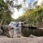 Bananeiras Vale do Pati