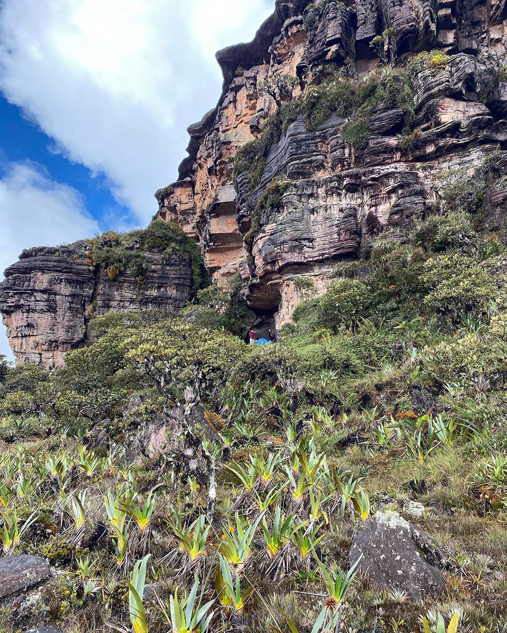Aufstieg des Berg Roraima