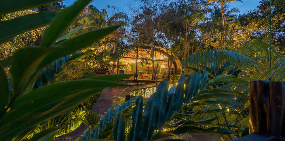 Luxury Amazon Rainforest Lodge