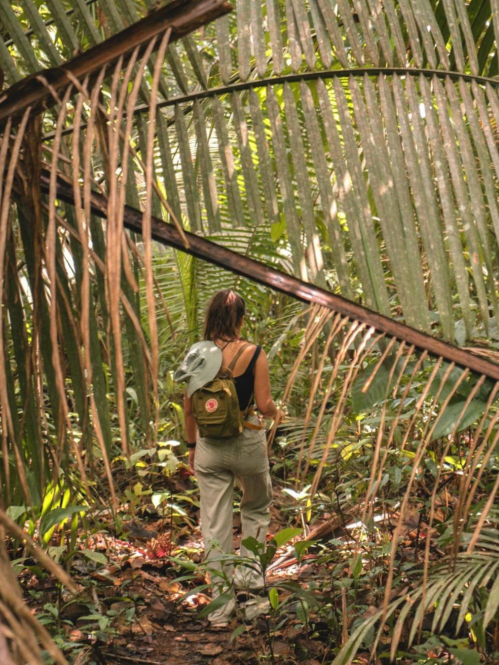 Trekking dans la jungle amazonienne au Brésil
