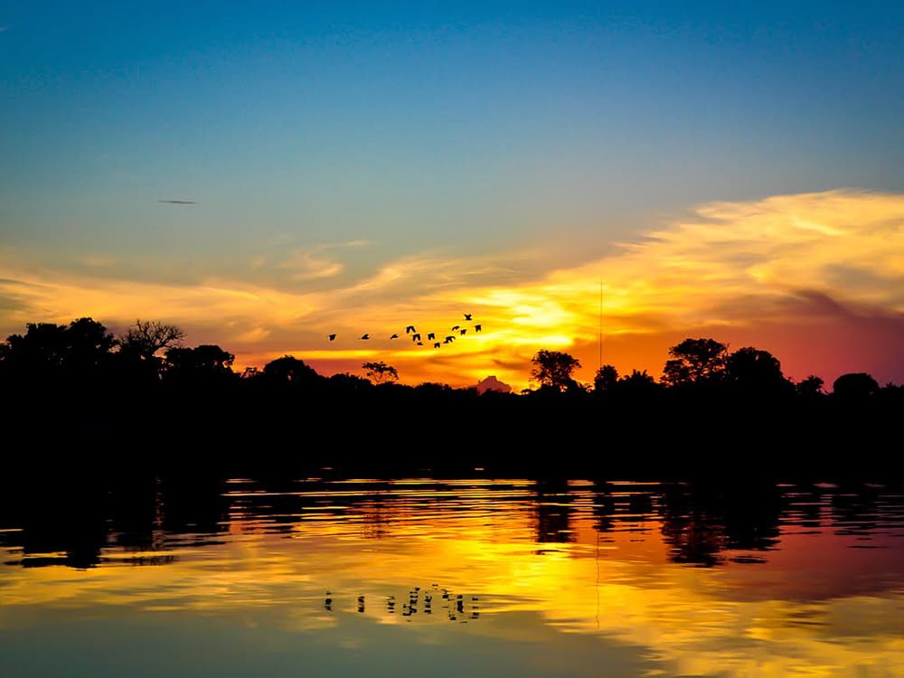 Coucher de soleil sur les rives d'une rivière d'amazonie