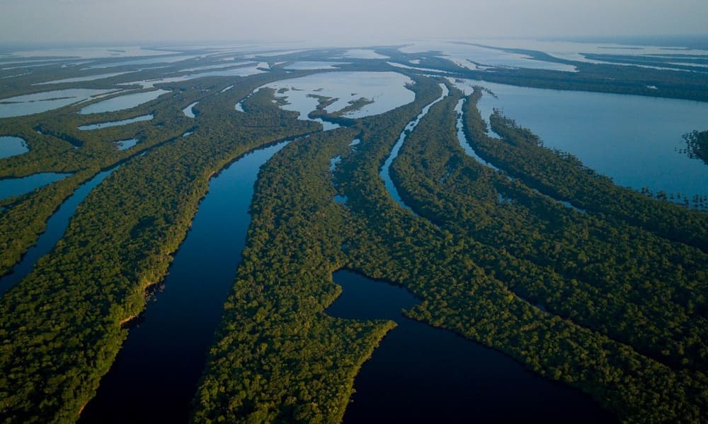 Croisière de luxe sur l'Amazone Brésil | 5 jours 