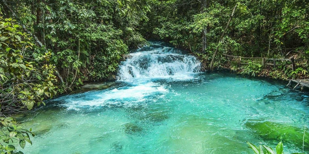 The clear blue waters of the Formiga Waterfall flow through lush vegetation in Jalapão, Tocantins.