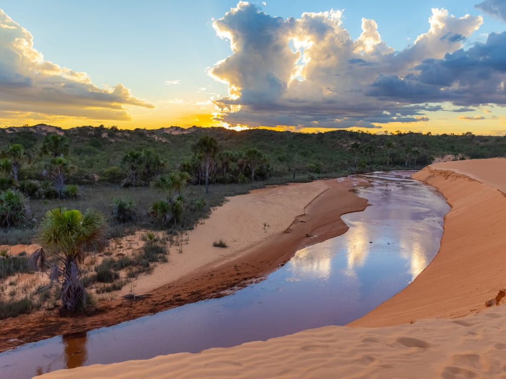 Golden sand dunes stretch across the landscape at sunset in the Jalapão State Park.