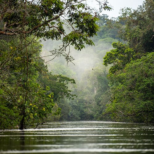 4-daagse kajaktour door de Amazone Brazilië