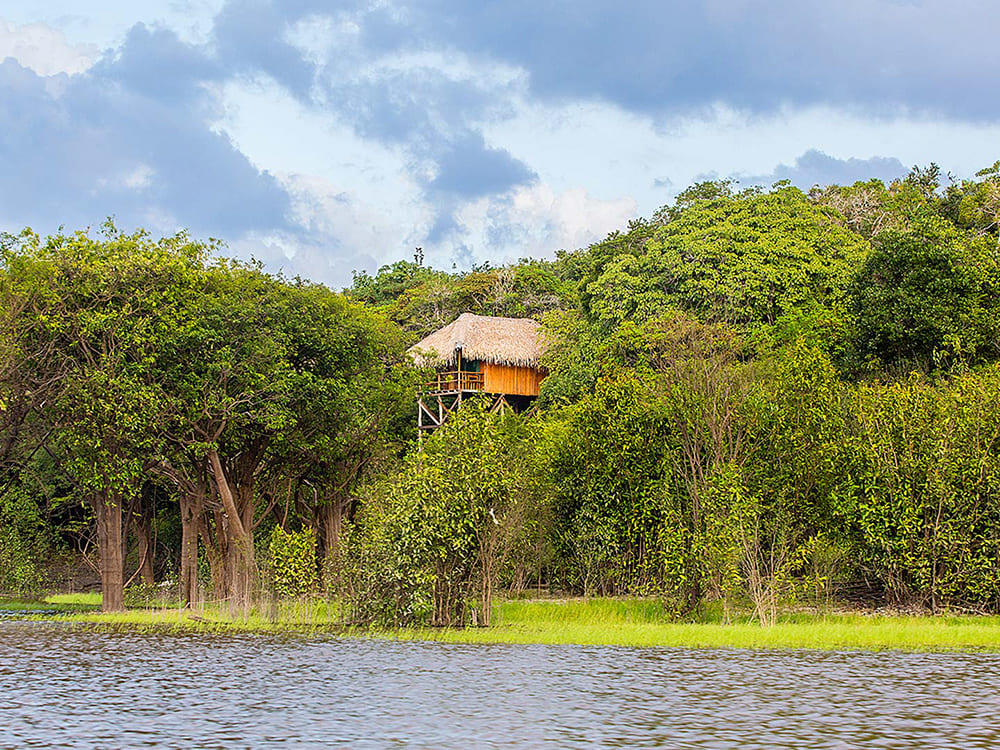 Amazonas Dschungel Lodge