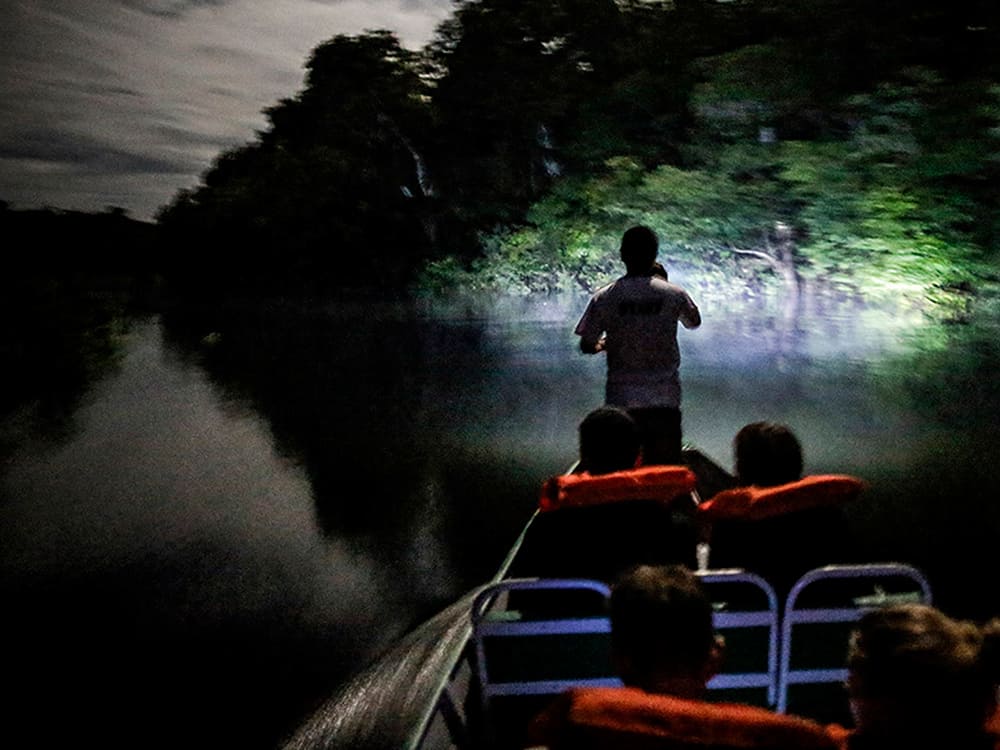 Nacht-Tour im Amazonas