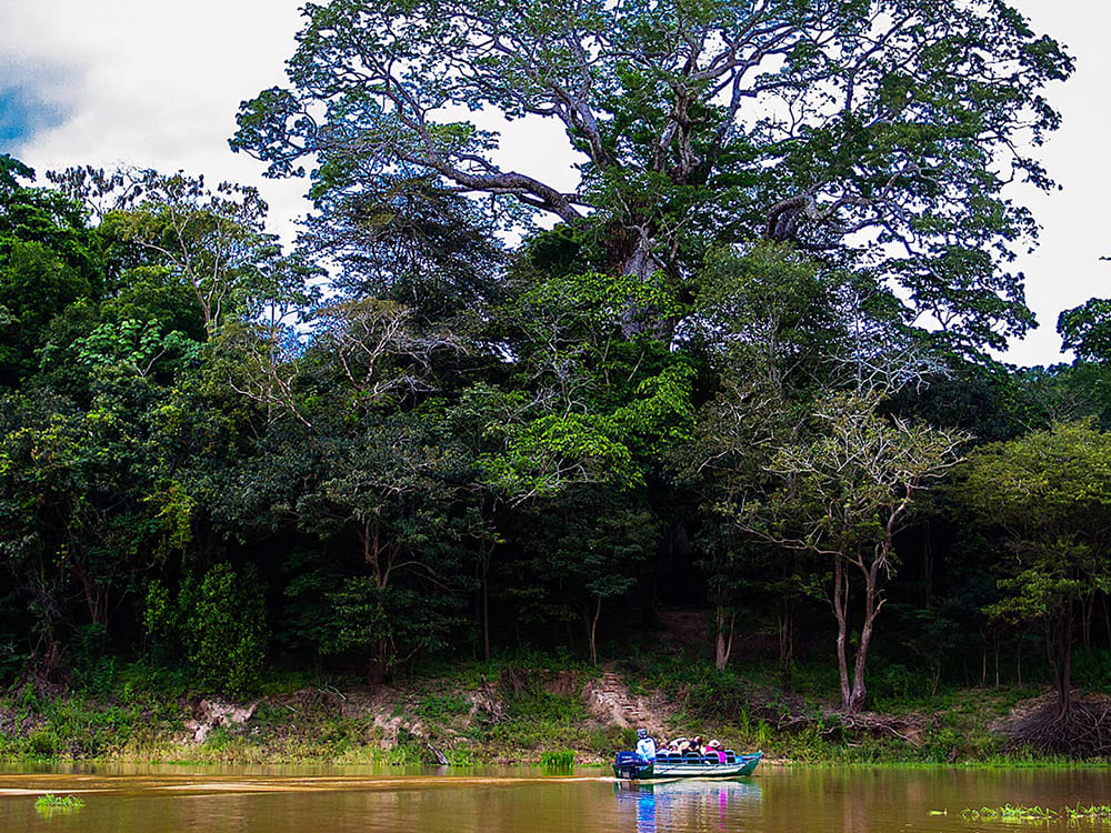 Lodge dans l'amazonie au Brésil