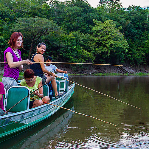 Piranha vissen Amazonas