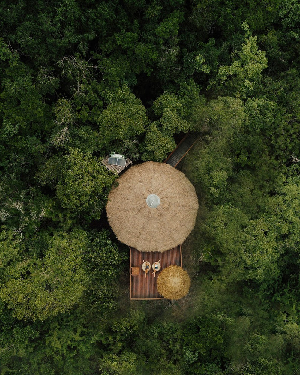 Amazonas Lodge Urlaub Brasilien