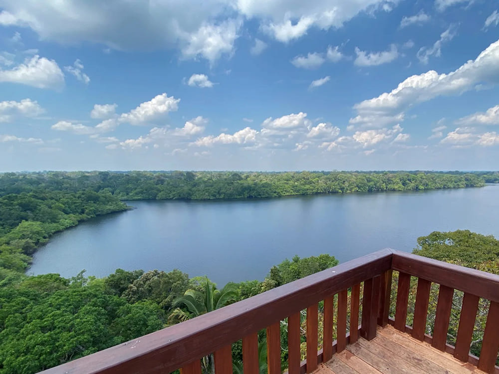 Panoramisch uitzicht op het Amazonewoud