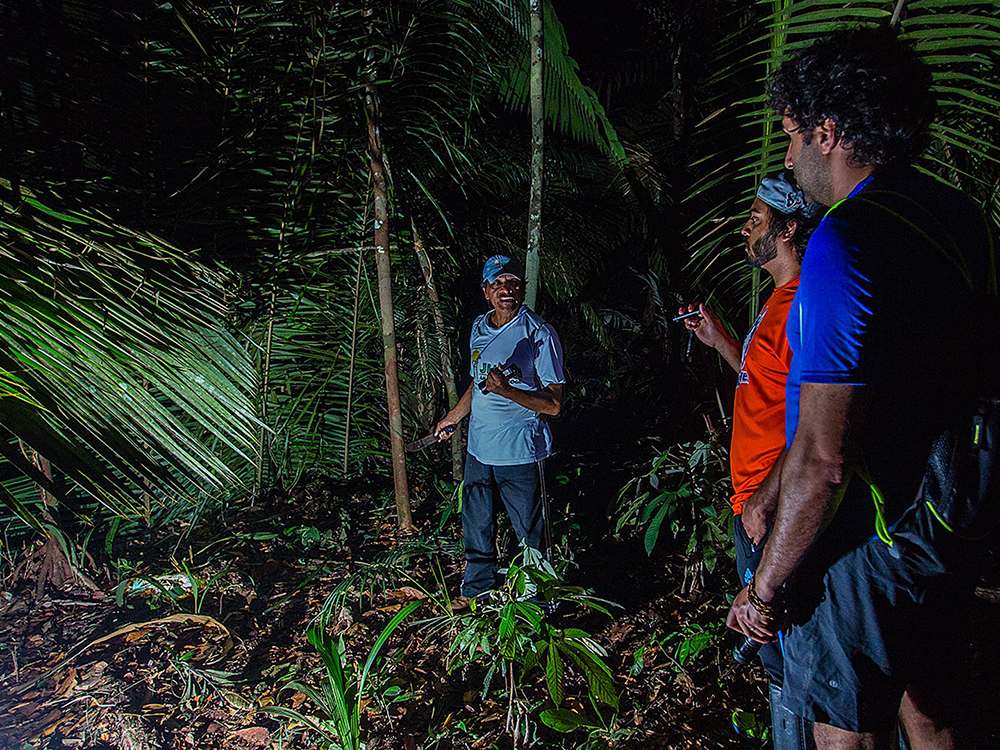 Nachts im Amazonas-Dschungel