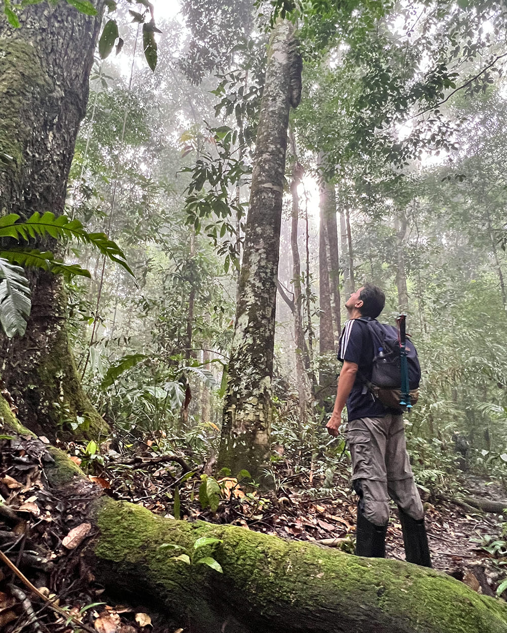 Expedition in den Nationalpark Pico da Neblina