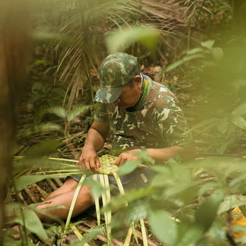 Amazon rainforest - survival techniques