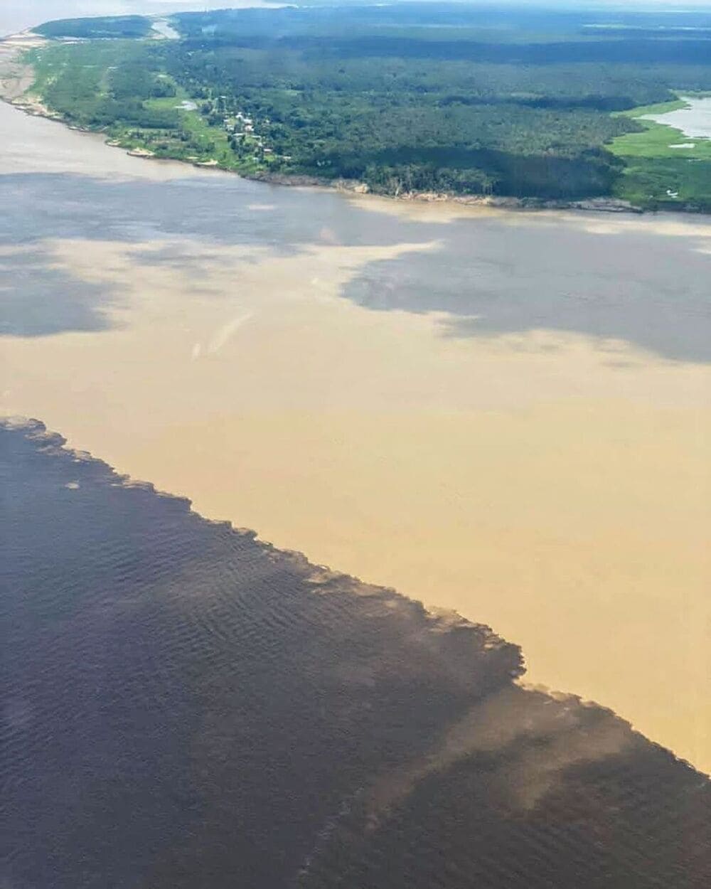 Treffen der Wässer Amazonas Brasilien