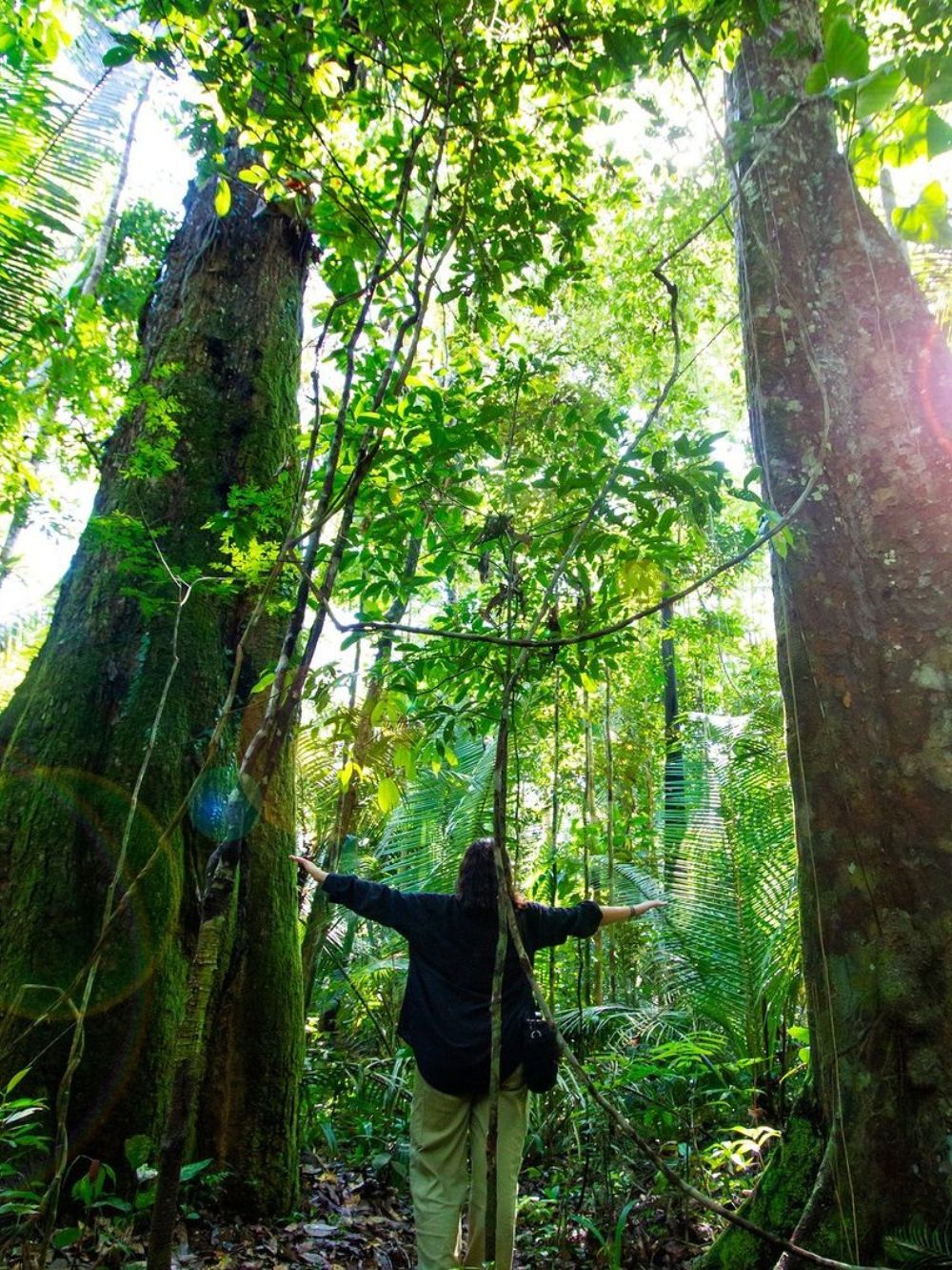 4-daagse jungletocht door het Braziliaanse Amazonegebied 